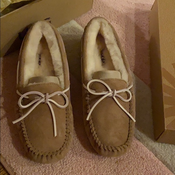UGG Shoes - Beautiful UGG slippers, never worn